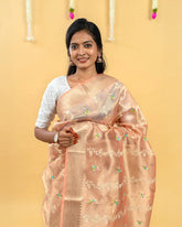 SC4067 - Tissue Saree With Embroidery All Over